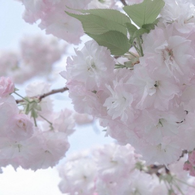 团风FurryQQ群介绍